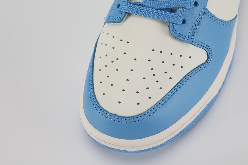 dunk low ‘coast’ replica